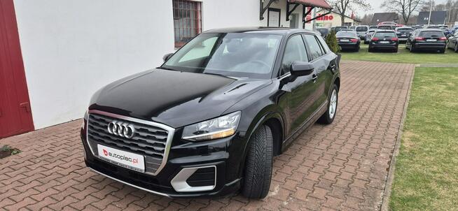 Audi Q2 NAVI-MEDIA-TEMPOMAT Paproć - zdjęcie 3