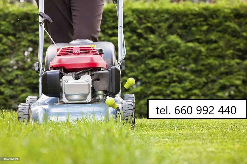 Koszenie trawników, jesienne prace ogrodowe Gdańsk - zdjęcie 1