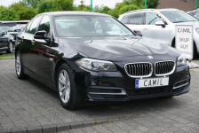 BMW 518 polski salon, atrakcyjny przebieg, I rej. grudzień 2016 r. Opole - zdjęcie 3