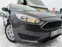 Ford Focus Klimatyzacja, PL salon, Pierwzy właściciel, 2 kpl. kół Cieszyn - zdjęcie 5