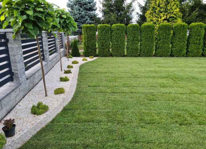 Krzysiek Zieliński Wawer - zdjęcie 3