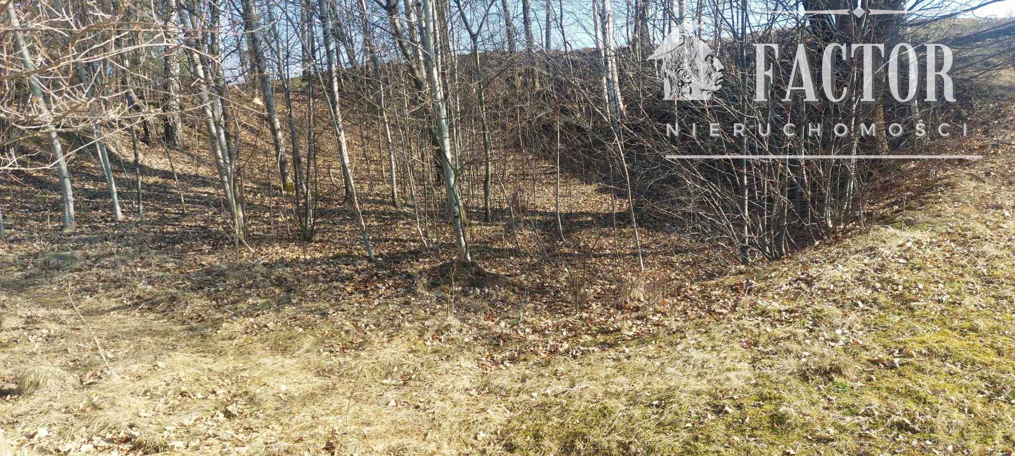 Stróżówka, działka budowlana, 1141S/2025 Stróżówka - zdjęcie 1