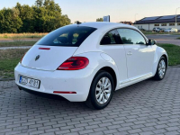 Volkswagen New Beetle *Benzyna*Niski Przebieg*BDB stan* Zduńska Wola - zdjęcie 12