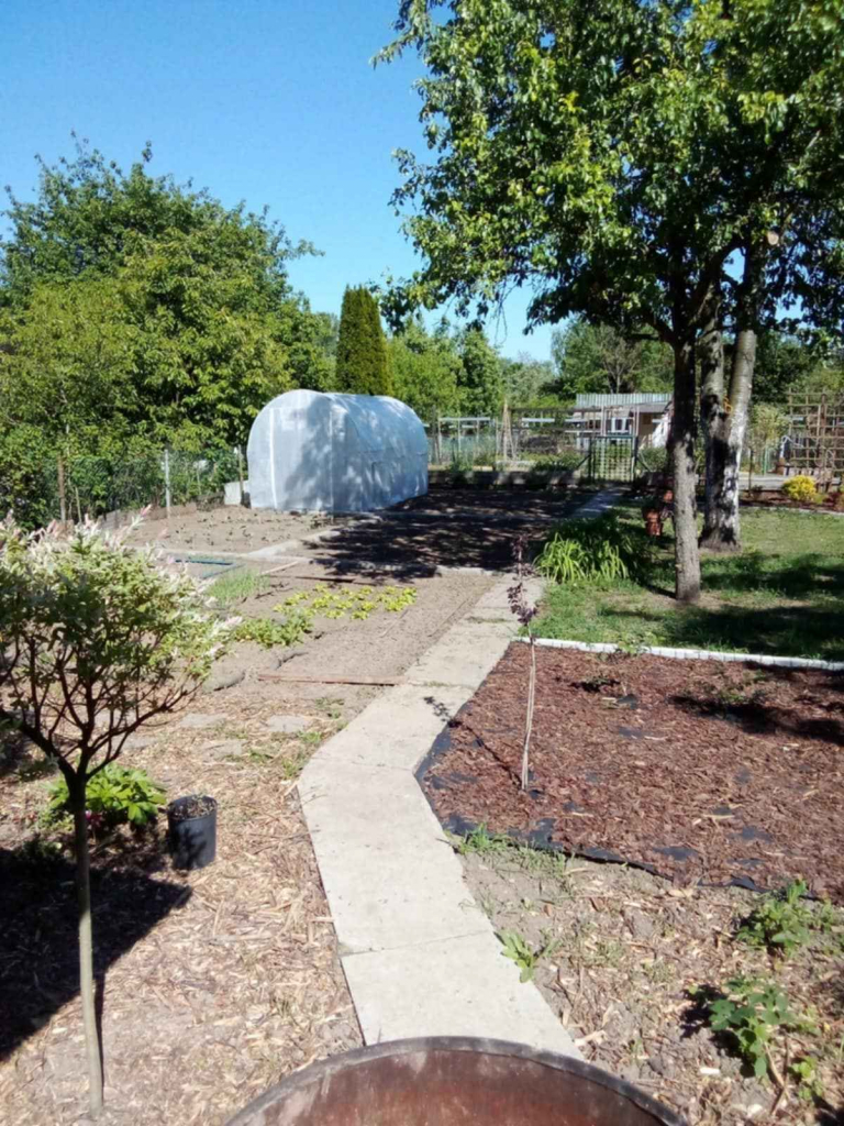 Sprzedam prawo do dzierżawy działki ROD Jeżyny – Wrocław Osobowice Śródmieście - zdjęcie 6