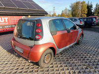 Smart Forfour 1.1 04r Brzozówka - zdjęcie 4