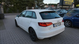 Audi A3 piękny. Gwarancja. Polecam !!! Zielona Góra - zdjęcie 9