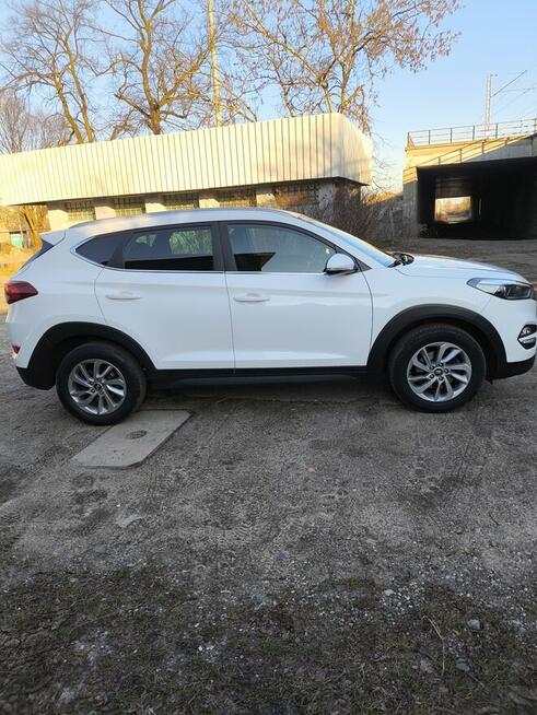 Sprzedam ładnego tucsona Tarnowskie Góry - zdjęcie 8