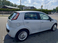 Fiat Punto Evo 1.4 77KM StartStop Chorzów - zdjęcie 3