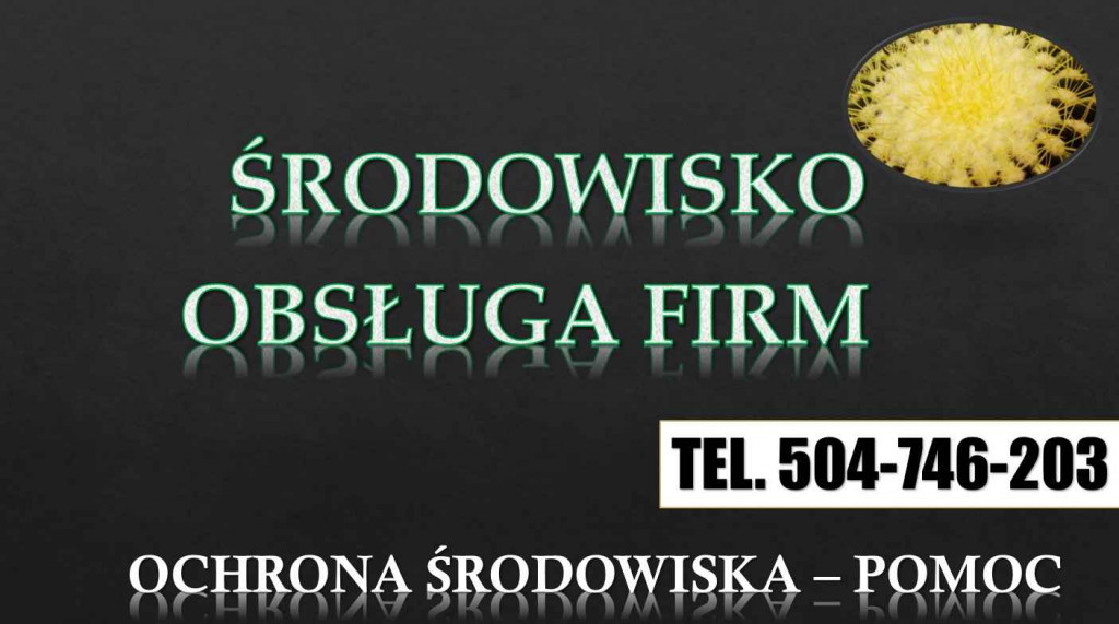 Raport z odpadów do BDO, cena, t,504-746-203. Sprawozdanie, zgłoszenie Psie Pole - zdjęcie 4