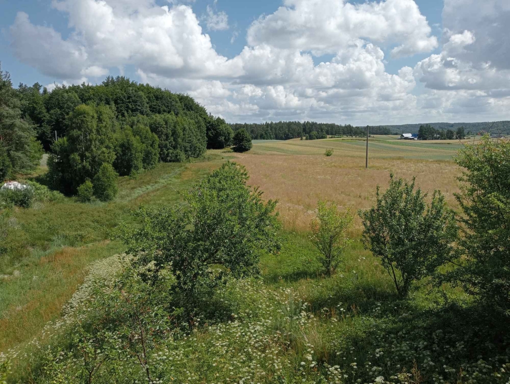 DZIAŁKA REKREACYJNO - BUDOWLANA Kętrzyno - zdjęcie 8