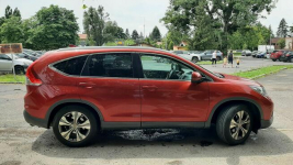 Salon Polska I Właściciel wersja lifestyle Łomianki - zdjęcie 2