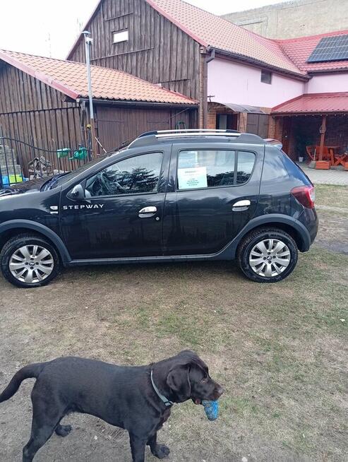 Sprzedam Dacia Sandero Stepway Koryta - zdjęcie 8