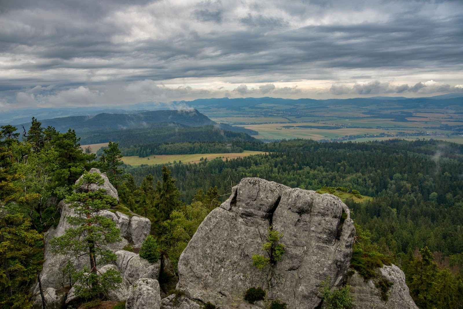 Niepełnosprawna lub zdrowa szanująca niepełnospr.poszukiwana! Sochaczew - zdjęcie 3