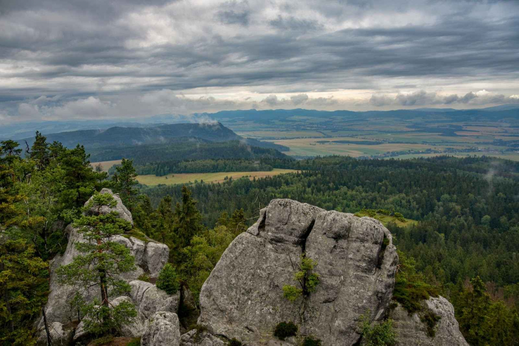 Niepełnosprawna lub zdrowa szanująca niepełnospr.poszukiwana! Sochaczew - zdjęcie 3