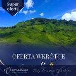 Ostatnia w okolicy | Twoje miejsce |