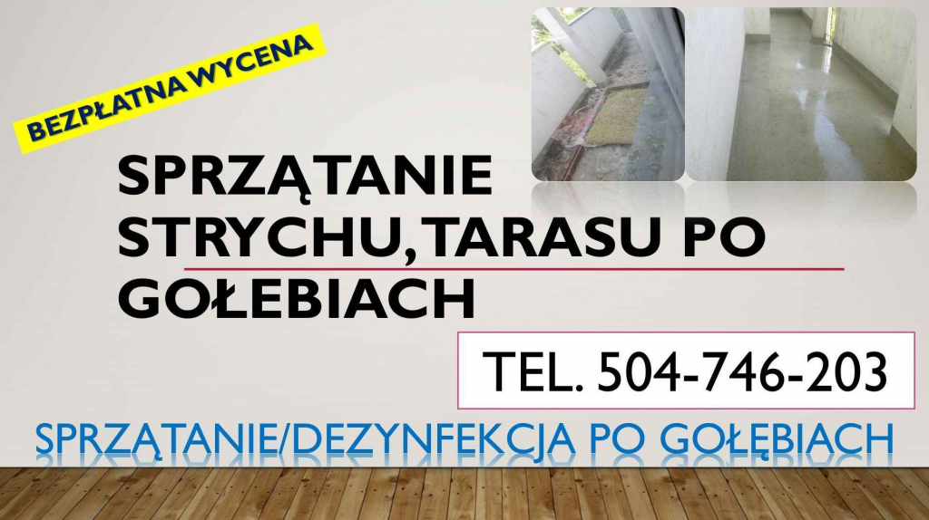 Czyszczenie po gołębiach, t. 504-746-203, sprzątanie ptasich odchodów Psie Pole - zdjęcie 2