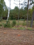 Sprzedam działkę budowlaną o powierzchni 1382m2