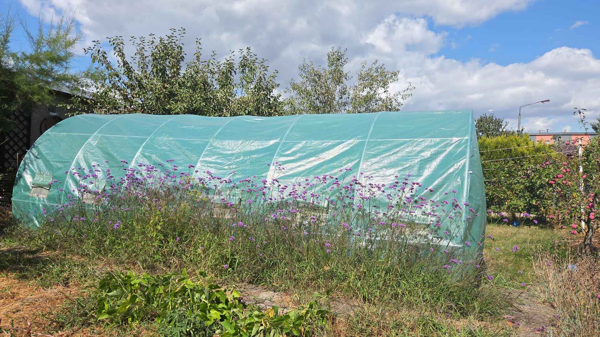 Działka ROD z murowaną altaną Kędzierzyn-Koźle - zdjęcie 4