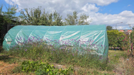 Działka ROD z murowaną altaną Kędzierzyn-Koźle - zdjęcie 4