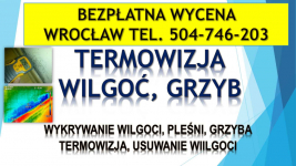 Wykrycie pleśni, t504-746-203. Wrocław, wykrywanie, pleśń, lokalizacja Psie Pole - zdjęcie 3