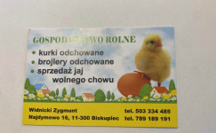 Gospodarstwo Rolne- kurki odchowane Najdymowo - zdjęcie 1