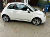 Fiat 500 1.0 Lounge 70KM Hybrid - Niski przebieg, serwisowan Szewce - zdjęcie 11
