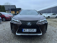 Lexus UX 250H 43 tyś km Ast. Pasa Distronic kamera Super Otwock Mały - zdjęcie 3