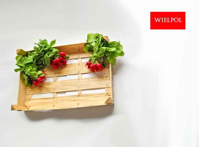 Opakowania do rzodkiewki / Skrzynki do rzodkiewki Wielichowo - zdjęcie 3