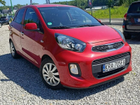 Kia Picanto Grzane fotele 59 tyś klimatyzacja ato Dulowa - zdjęcie 10
