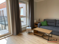 Apartament na Ratajach. Poznań - zdjęcie 7