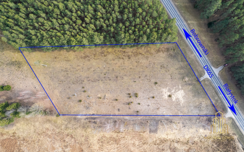 Działka inwestycyjna przy szosie baranowickiej Grabówka - zdjęcie 4
