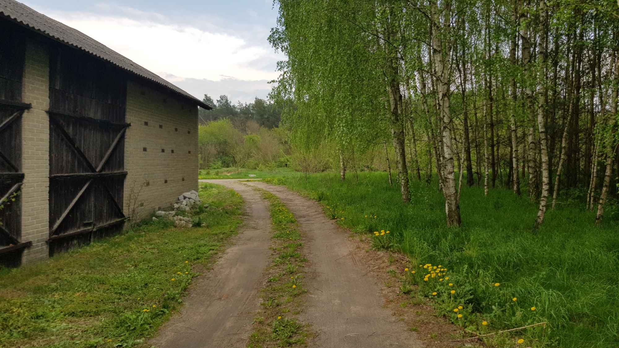 Działka budowlana 1905 m2. Wilczanka gm. Żyrzyn Wilczanka - zdjęcie 6