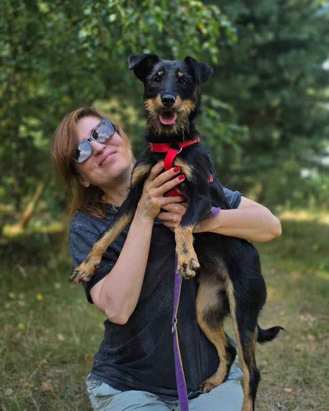 Płotka - młoda terrierka, wesoła, przyjazna sunia! Olsztyn - zdjęcie 3