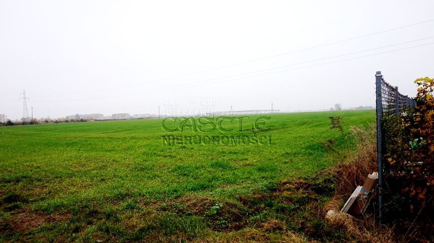 Tylko teraz TAKA CENA. Zalasewo - zdjęcie 6