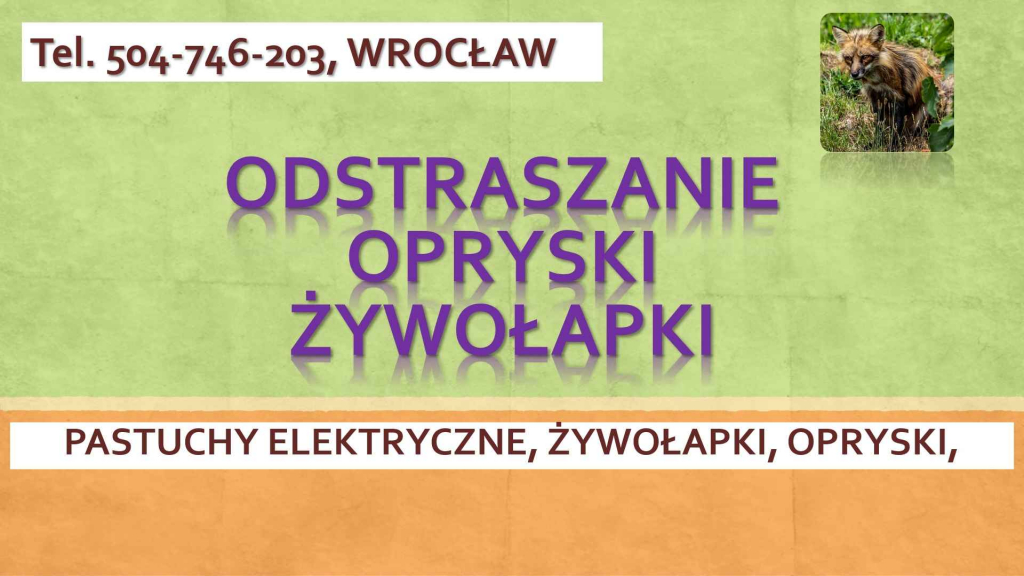 Odstraszanie dzikich zwierząt, Wrocław, kuna, sarna, lis, psy, koty, Psie Pole - zdjęcie 2
