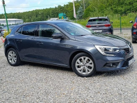 Renault Megane 1,3 Kamera, Nawigacja ,Serwis ,bdb stan Dulowa - zdjęcie 9