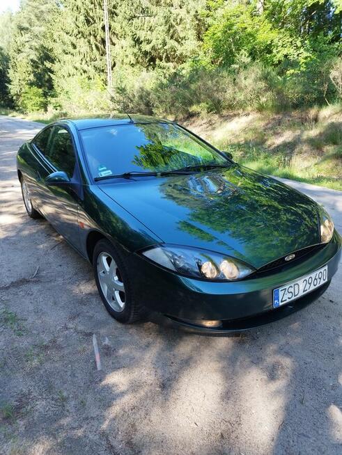 Ford cougar Rąbino - zdjęcie 2