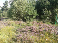 Zamienię Sławków - zdjęcie 3