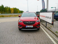 Opel Grandland X Lipówki - zdjęcie 4