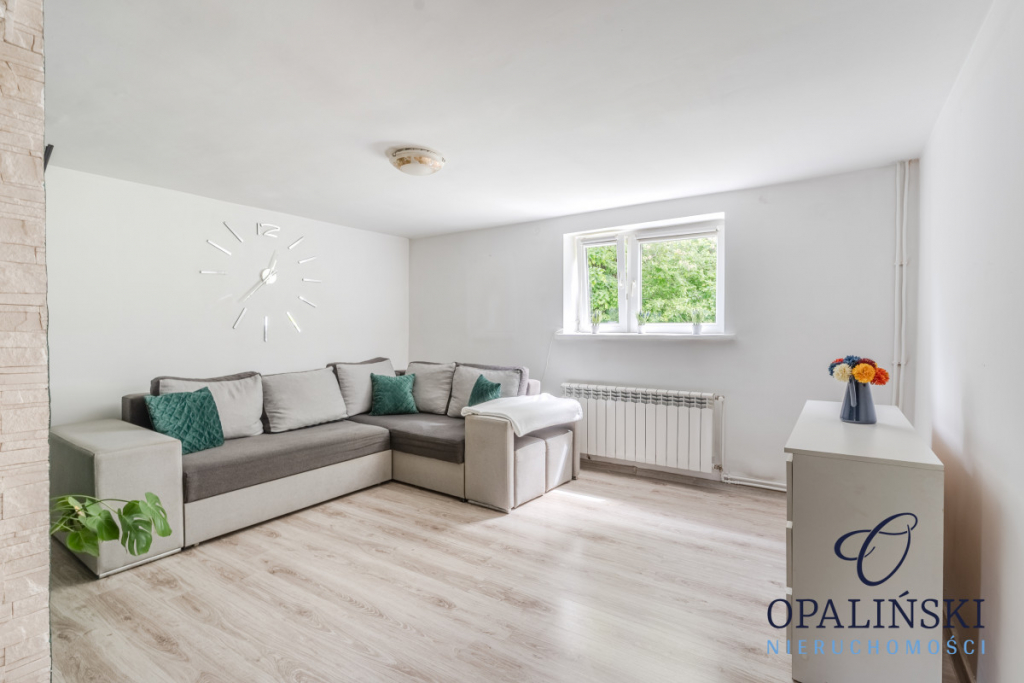 Dom na wzgórzu do własnej aranżacji | 1,57ha Łopuszka Wielka - zdjęcie 4