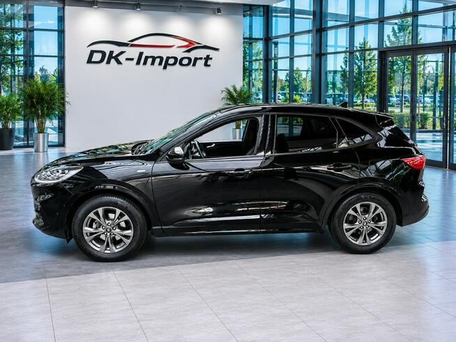 Ford Kuga Sadlno - zdjęcie 5