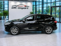 Ford Kuga Sadlno - zdjęcie 5