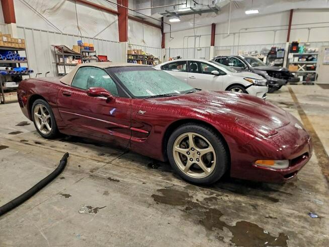 / niski przebieg / piękna konfiguracja / Corvette C5 / Tarnów - zdjęcie 2