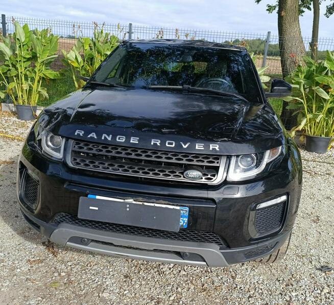 Land Rover Range Rover Evoque Evoque Pleszew - zdjęcie 3