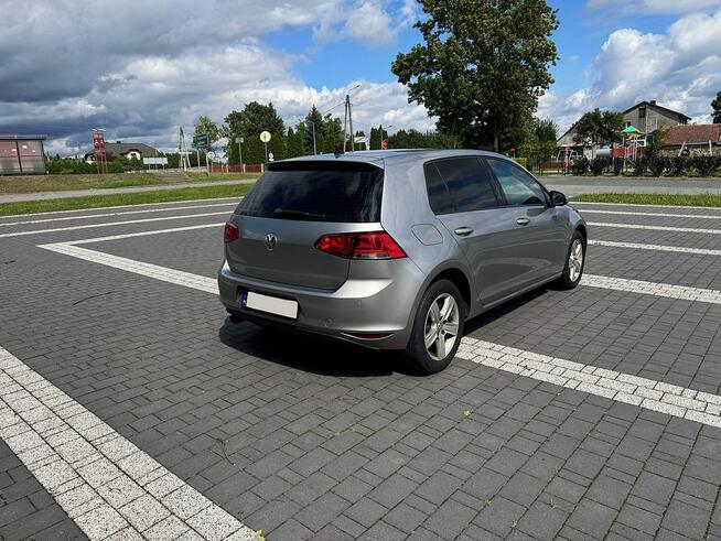 Volkswagen Golf VII 1,6 TDI 105KM Led Navi Klimatronik Bliżyn - zdjęcie 5