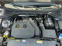 VOLKSWAGEN T-Roc Carat 1.5 TSi 150 EVO DSG7 GD708 Grunwald - zdjęcie 11