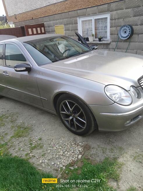 Sprzedam lub zamienię Rogoźnik - zdjęcie 2