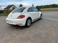 Volkswagen Beetle Lipówki - zdjęcie 12
