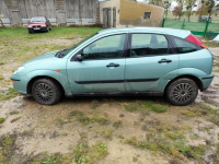 Ford focus Łąkorz - zdjęcie 3