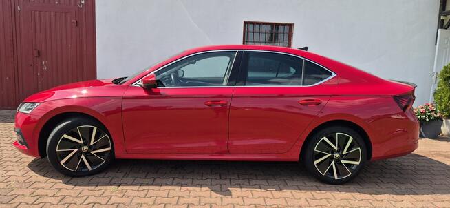 Škoda Octavia SALON PL-STYLE-VIRTUAL-SERWIS Paproć - zdjęcie 4
